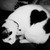 :iconweziah: