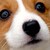 :iconwfsw32:
