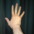 :iconwhabligone: