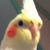 :iconwhackedgourd: