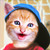:iconwhackthecat: