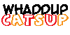 :iconwhaddupcatsup: