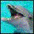 :iconwhalessea: