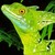 :iconwhat-can-u-do: