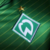 :iconwhat-stuffy: