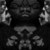 :iconwhat-trevania:
