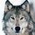 :iconwhatever545: