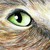 :iconwhateverkate: