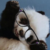 :iconwhateverrandomness: