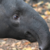 :iconwhatislifelol: