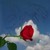 :iconwhatsin-aname: