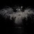 :iconwhatthehell472: