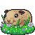 :iconwheek:
