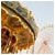 :iconwheel-goes-round:
