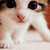 :iconwheezergirl: