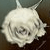 :iconwhendarknessfell: