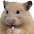 :iconwhenlilismiles: