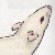 :iconwhenrosesbleed: