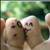 :iconwhentimestops: