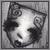 :iconwhere-are-we: