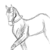 :iconwhere-my-horse-is: