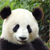 :iconwherethegrassisgreen: