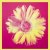 :iconwhichonespink: