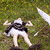 :iconwhiffle: