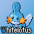 :iconwhiitelotus: