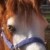 :iconwhimbletonian: