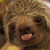 :iconwhiptail: