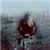 :iconwhiskey-cola: