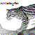 :iconwhiskeyfox43: