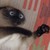 :iconwhiskeygryphon: