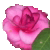 :iconwhisperedgrace: