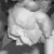 :iconwhisperingvapor: