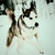 :iconwhispersofmagic: