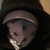 :iconwhisperswthmegaphone: