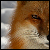 :iconwhisperwar: