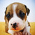 :iconwhistle-wind: