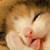 :iconwhistlervicky:
