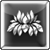 :iconwhit3lotus: