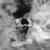 :iconwhitchurch: