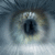 :iconwhite--space: