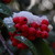 White-Angel-1 :iconWhite-Angel-1:
