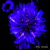 :iconwhite-angel711: