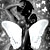 :iconWhite-Angelic: