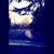 :iconwhite-citrus: