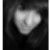 :iconwhite-goldd: