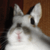 :iconwhite-haired-demon: